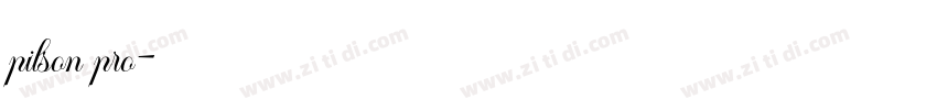 pilson pro字体转换